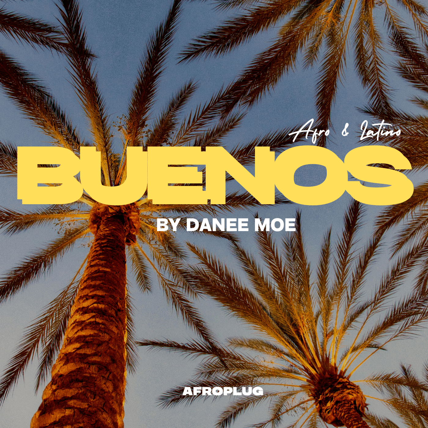 Buenos - Afro Latin Sounds - 130+ Loops & Samples
